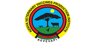 kuvvp